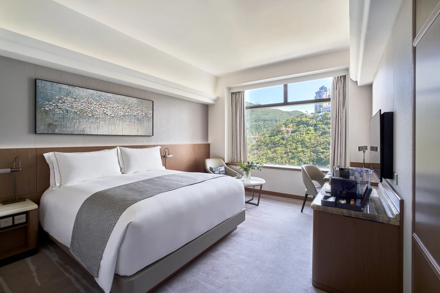 Deluxe King room